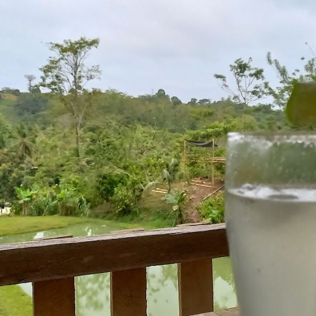 Michelada Light