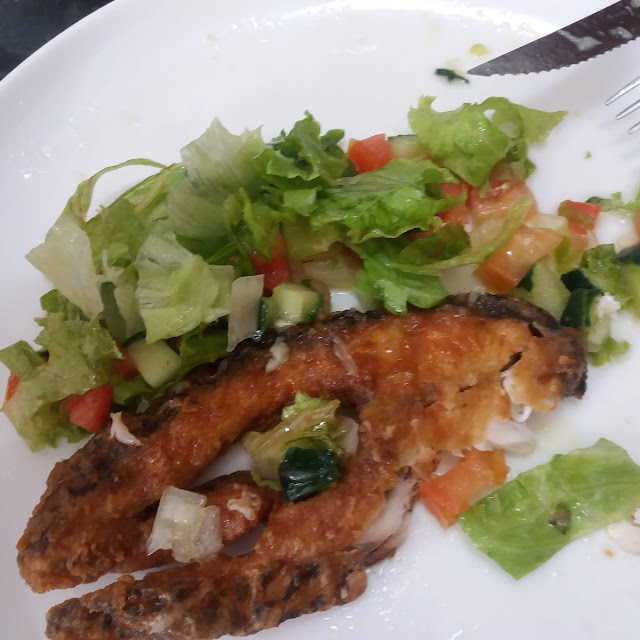 Tilápia Com Salada Verde
