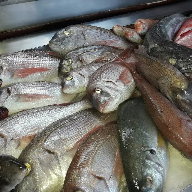 Fresh Fish from the Country