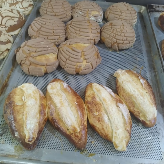 Conchas