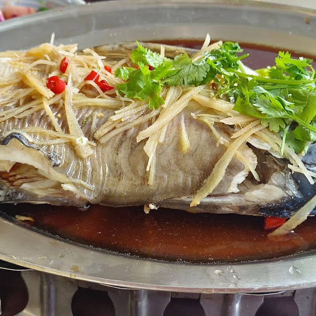 Steam Fish with Soy Sauce