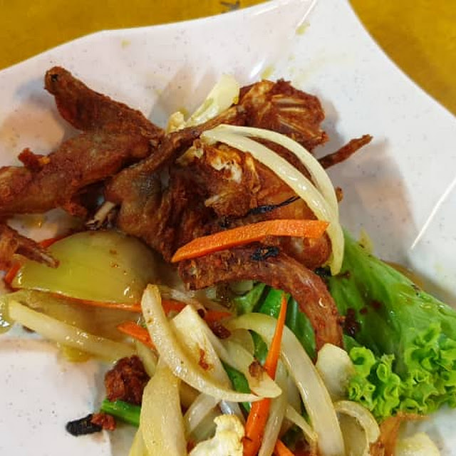 Puyuh Quail
