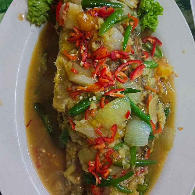 Siakap Masak Halia