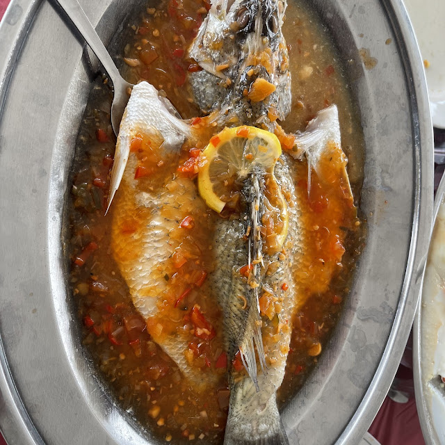 Snapper Fish