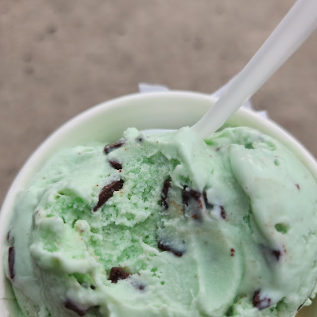 Mint Chocolate Chip