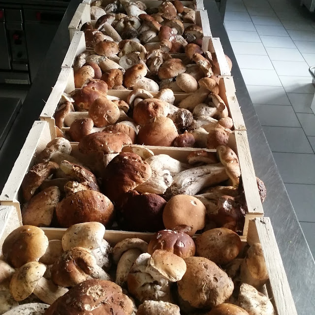 Menu ' Funghi