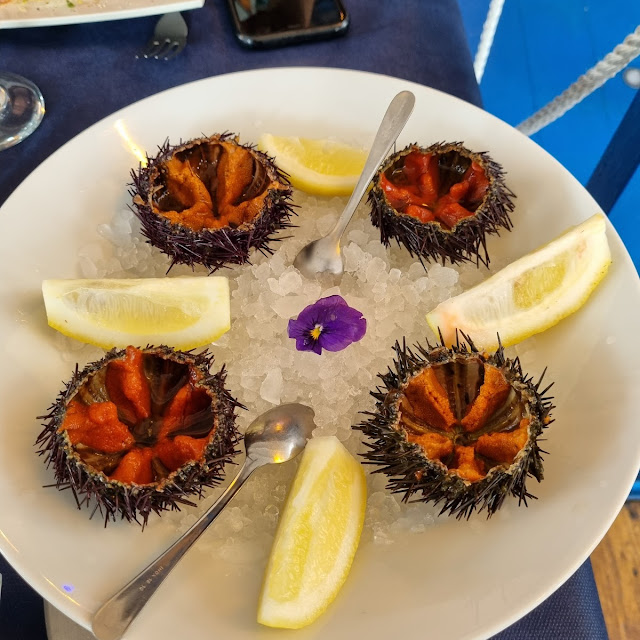 Ricci Di Mare
