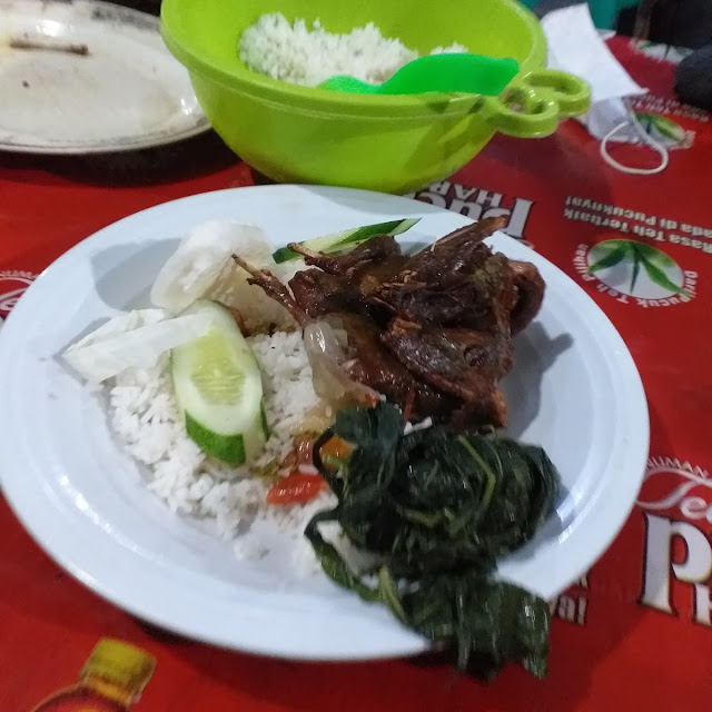 Burung Merpati Goreng