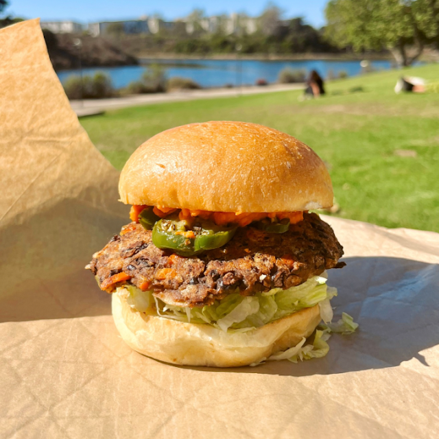 Hummus Black Bean Burger