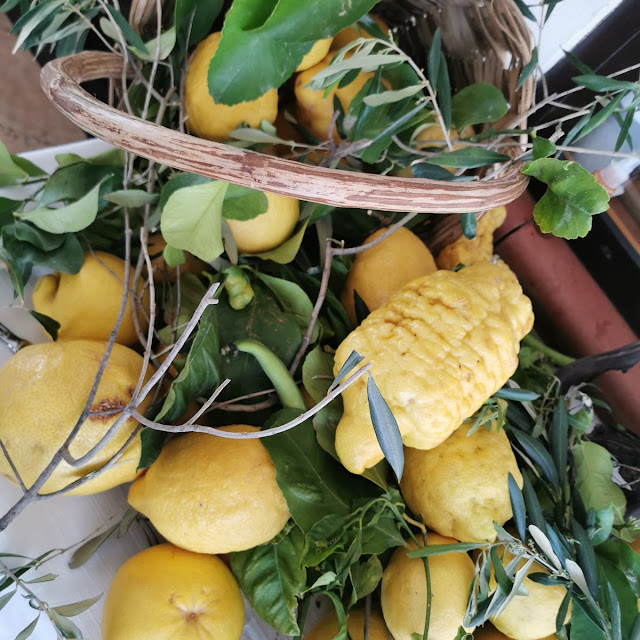 Limoni