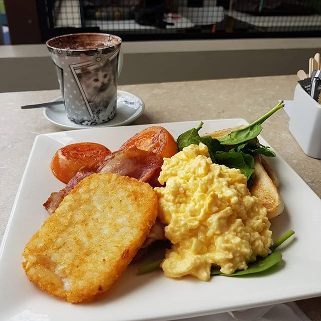 Vegan Big Breakfast