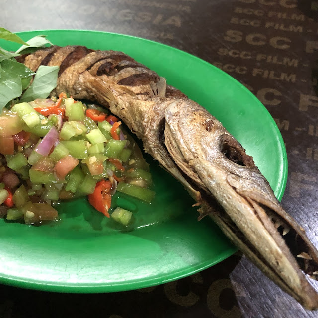 Barracuda
