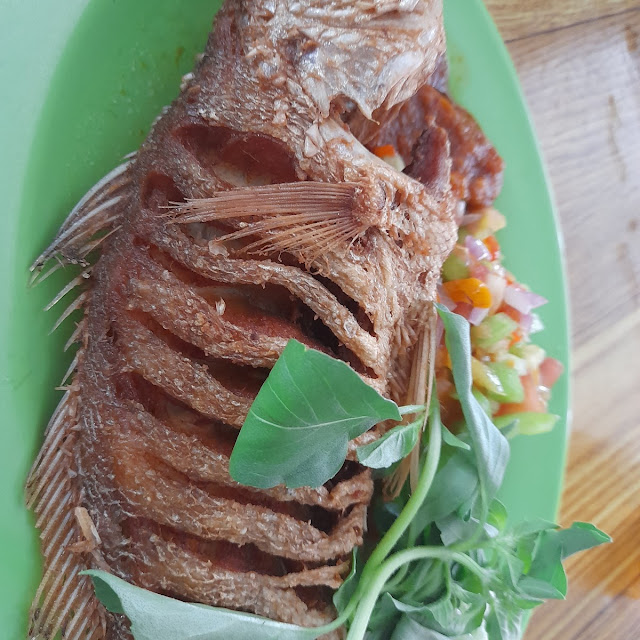 Ikan Kakap Putih