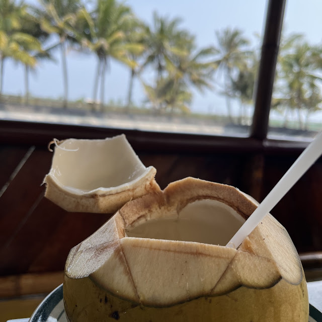 Kelapa Degan