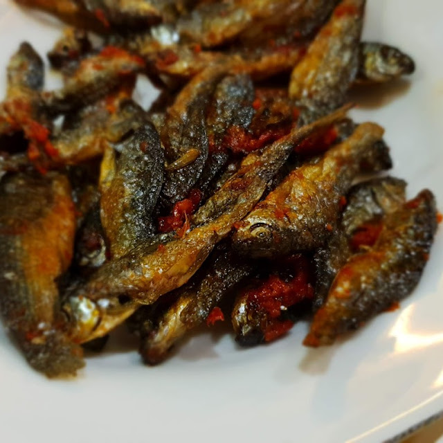 Ikan Belibis