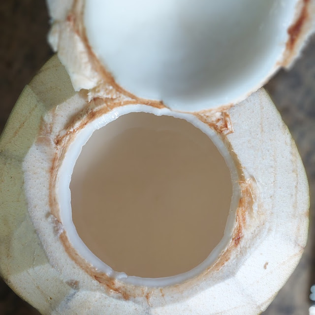 Kelapa Utuh