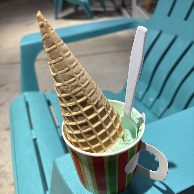 Mint Chocolate Chip Ice Cream