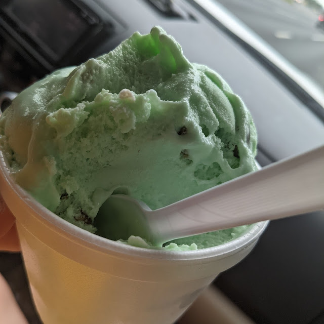 No Sugar Pistachio Ice Cream