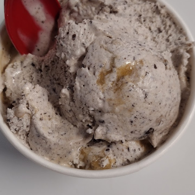 Oatmeal Cookie Ice Cream