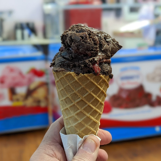 Dark Chocolate Raspberry Ice Cream in a Waffle Cone