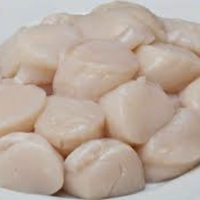 Scallops