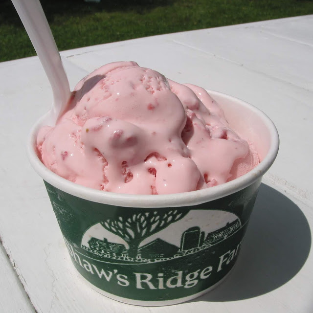 Fresh Strawberry Ice Cream