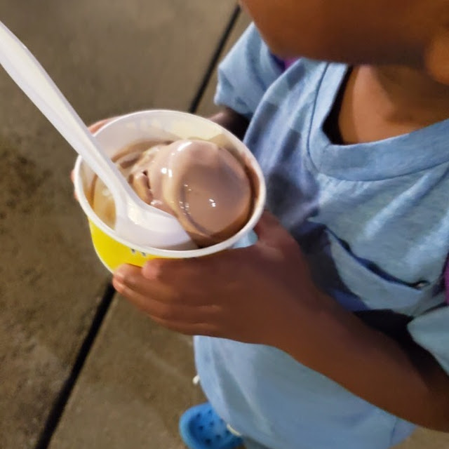 2 Scoops of Custard Vanilla & Chocolate