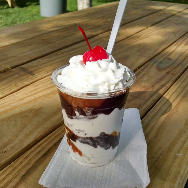 Turtle Sundae