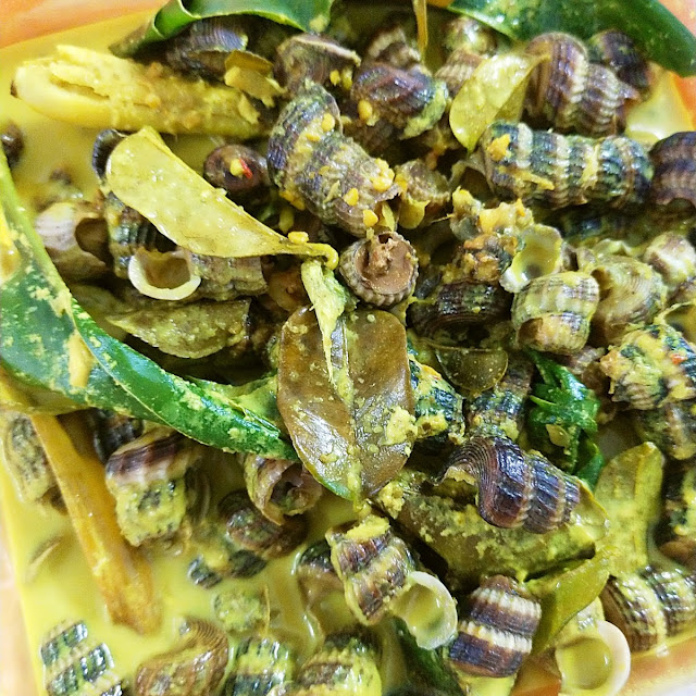 Siput Sedut MSK Lomak Cilipadi