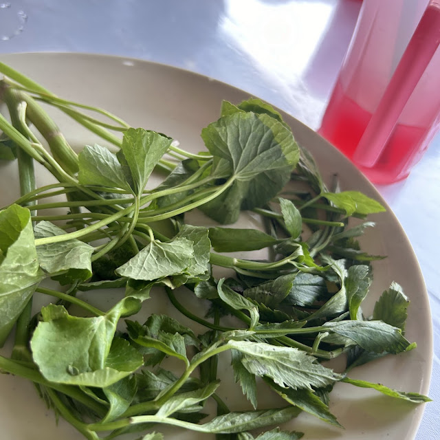 Ulam Pegaga