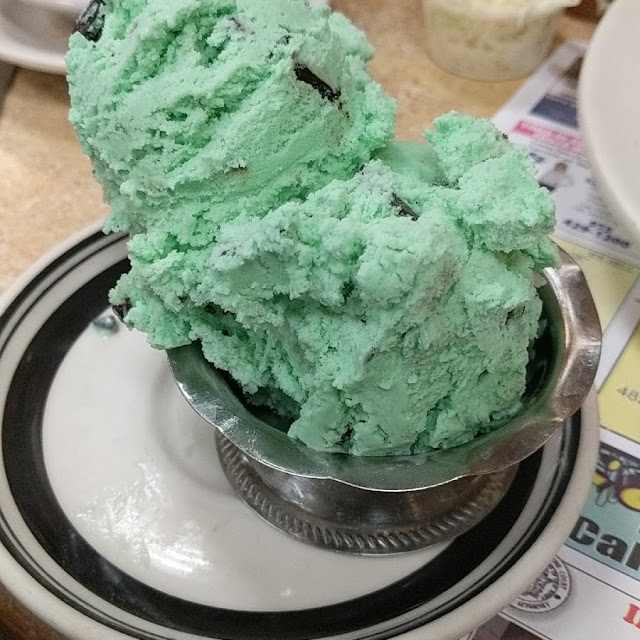 Mint Chocolate Chip Ice Cream