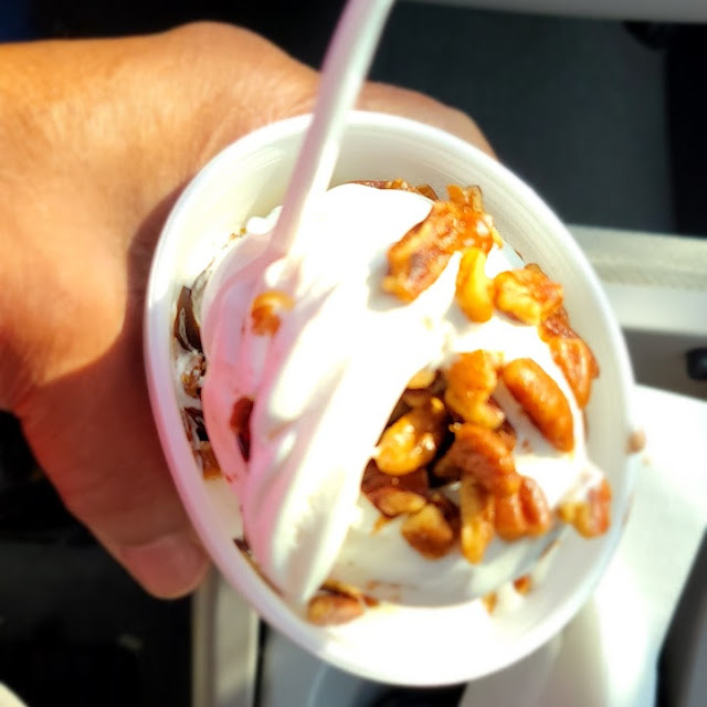 Turtle Sundae