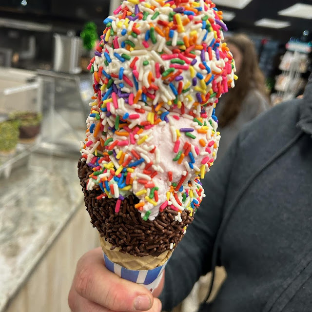 Chocolate Chip Mint Strawberry Soft Vanilla with Rainbow Sprinkles in a Chocolate Waffle Cone