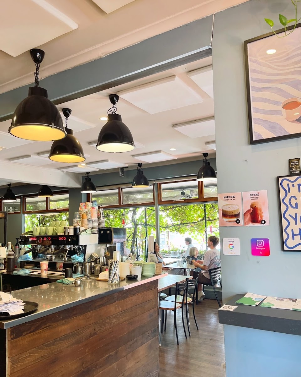 SPILL THE BEANS CAFE