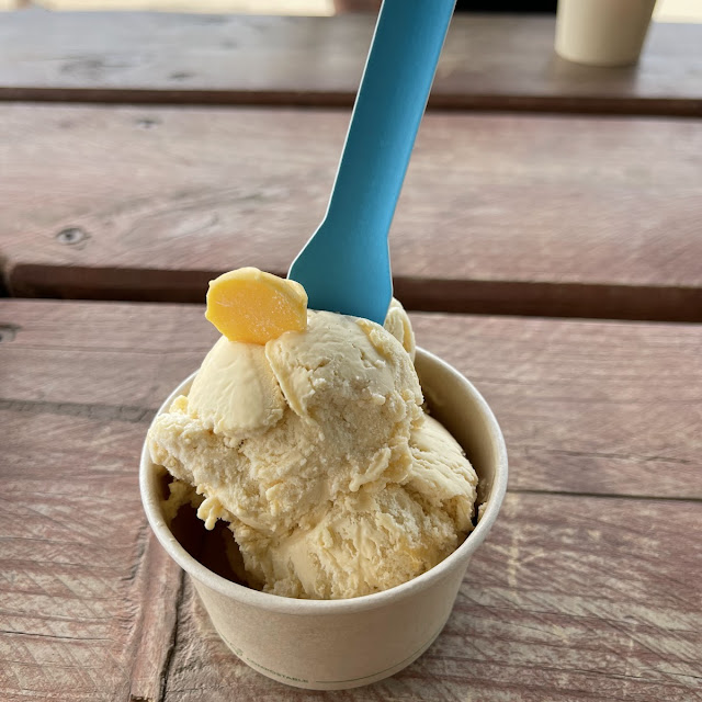 Vanilla Ice Cream