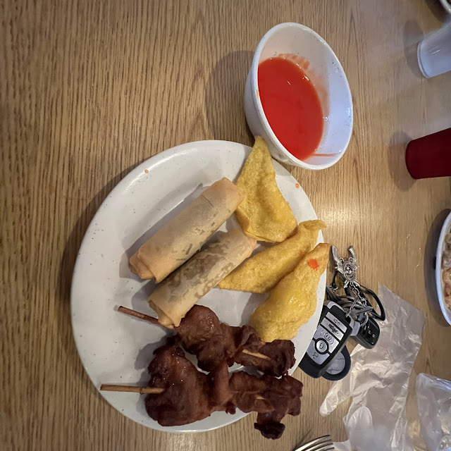 Teriyaki Chicken and Shanghai Rolls