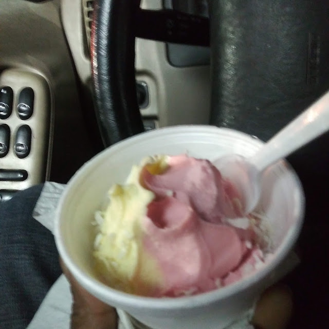 Vegan Ice Cream