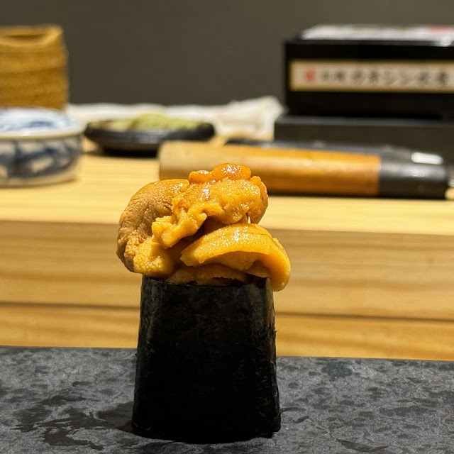 Sea Urchin