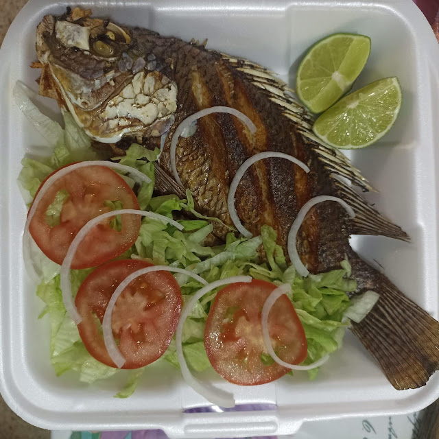 Tilapia