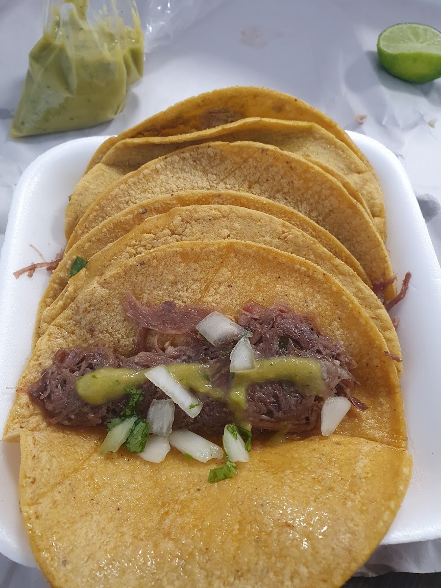 Tacos el Oso