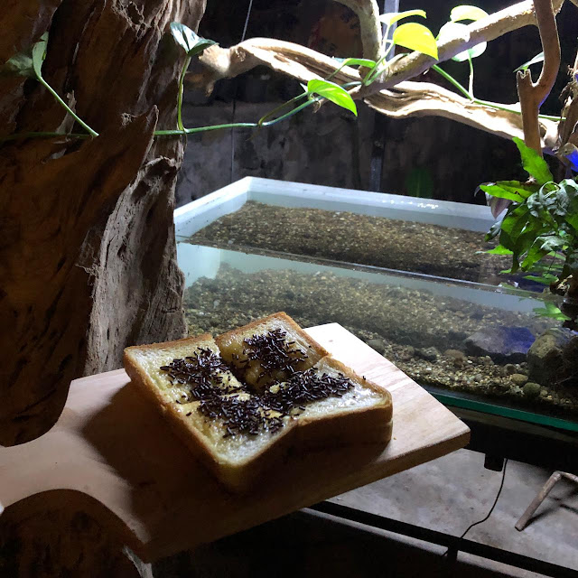 Roti Bakar Coklat Kacang