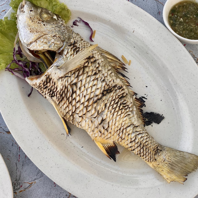 Salted Grilled Fish