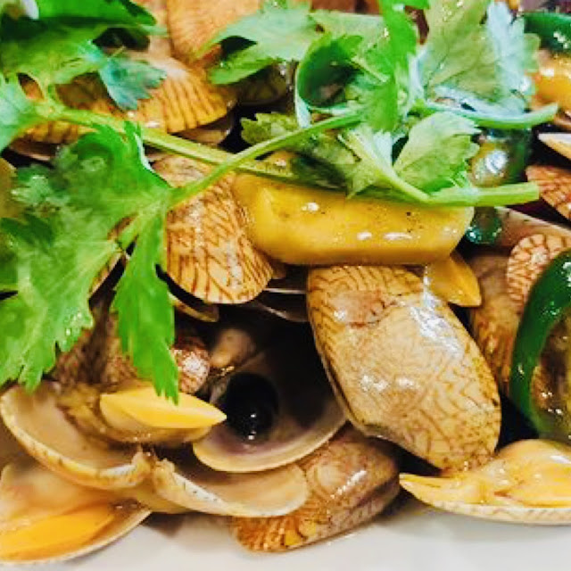 Scallop