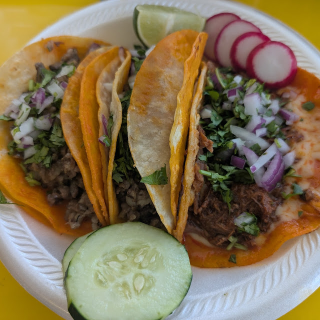 Birria Plate