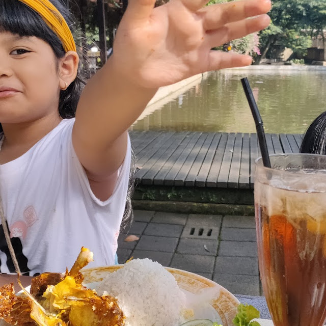 Ayam Kremes