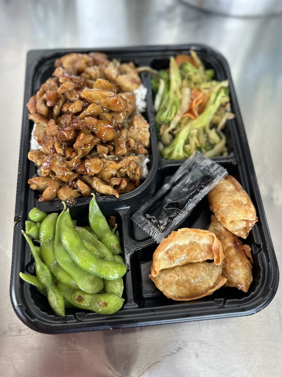 Teriyaki Express Grill
