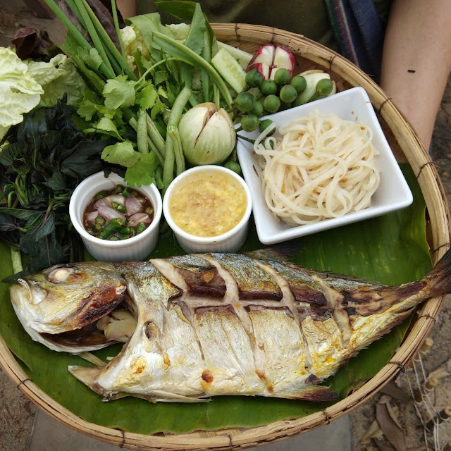 ปลาย่าง