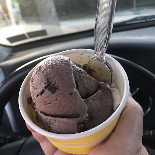 Double Fudge Chocolate