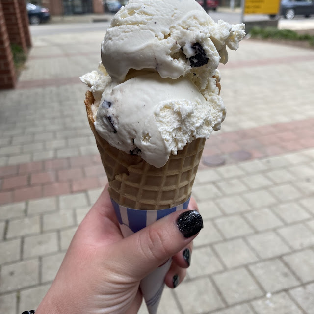 Chocolate Chip Ice Cream in a Waffle Cone