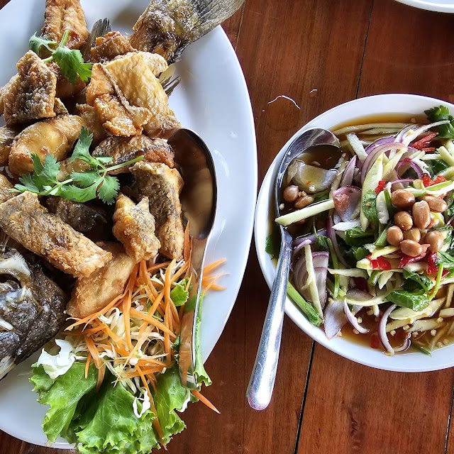 Fried Sea Perch in Fish Sauce Pla Krapong Thood Nam Pla